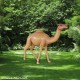 FRP Camel Statue