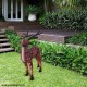 FRP Deer Statue In Real Look