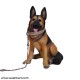 FRP Dog Figurine - German Shepherd