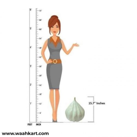 Garlic - Learning Model