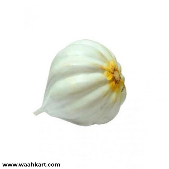 Garlic - Learning Model