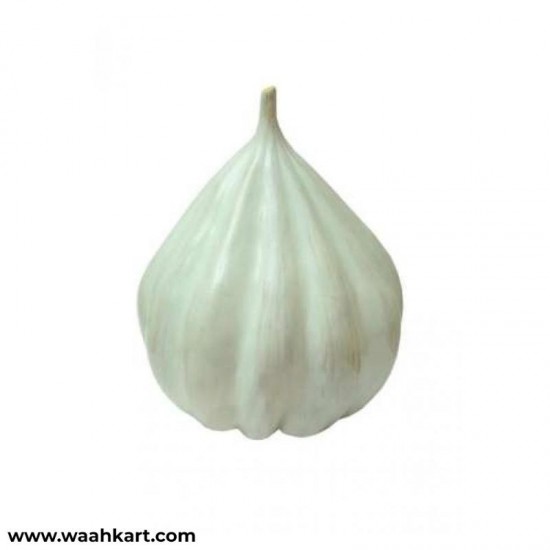 Garlic - Learning Model