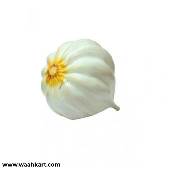 Garlic - Learning Model