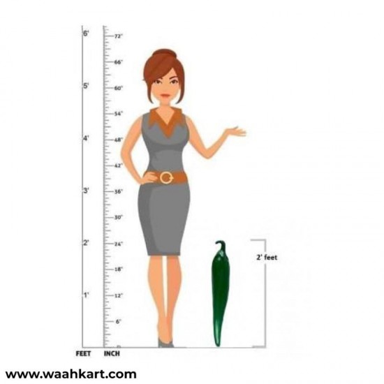 Half Cutted Learning Model - Green Chilli