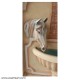 Horse Drinking Water Modern Fountain 