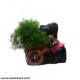 Horse Holding Cart Planter