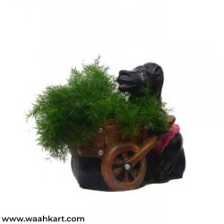 Horse Holding Cart Planter