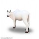 Life Size - White Cow Statue