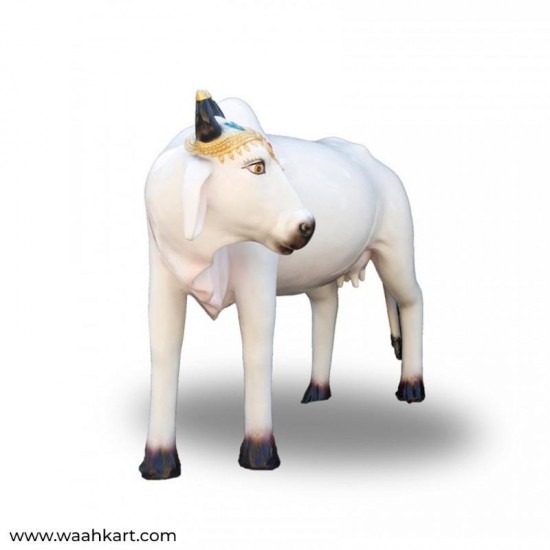 Life Size - White Cow Statue