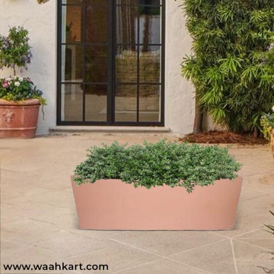 Long Rectangular Planter