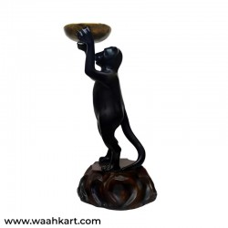 Monkey Holding The Bird Feeder