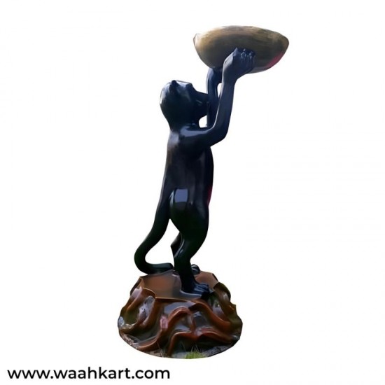 Monkey Holding The Bird Feeder