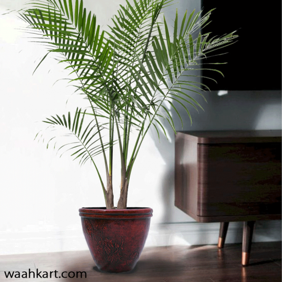 Engraved Leaves Red Planter