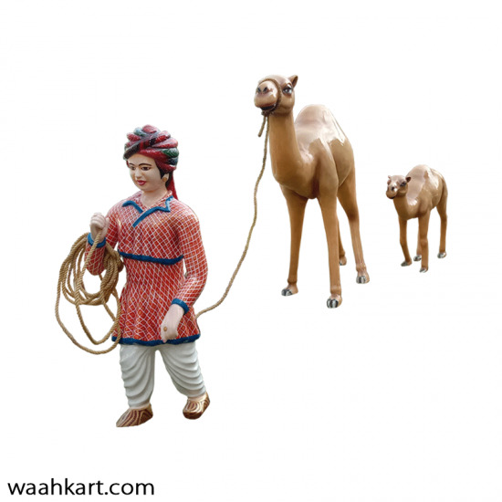 Rajasthani Man With Camel And Its Calf