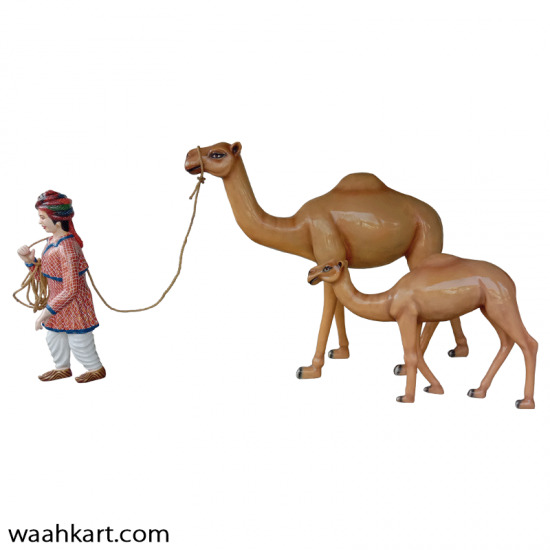 Rajasthani Man With Camel And Its Calf