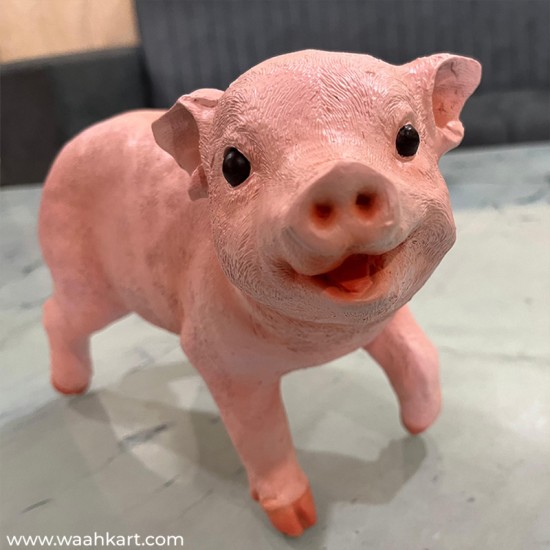 Real Pig Shaped Statue