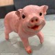 Real Pig Shaped Statue