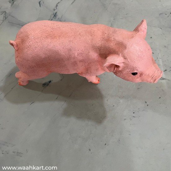 Real Pig Shaped Statue