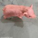 Real Pig Shaped Statue
