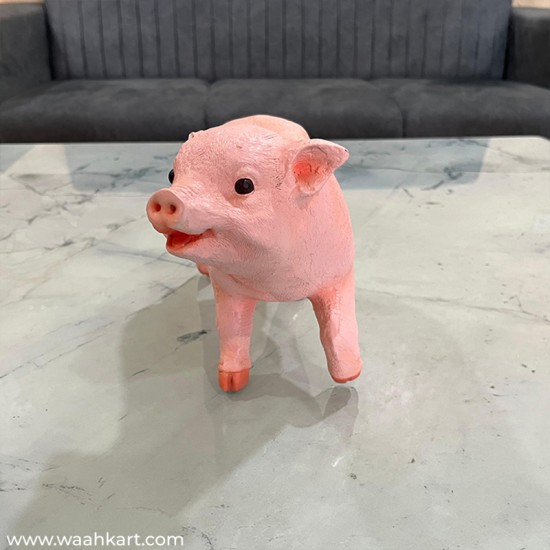 Real Pig Shaped Statue