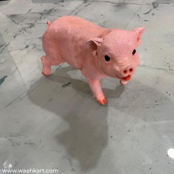 Real Pig Shaped Statue