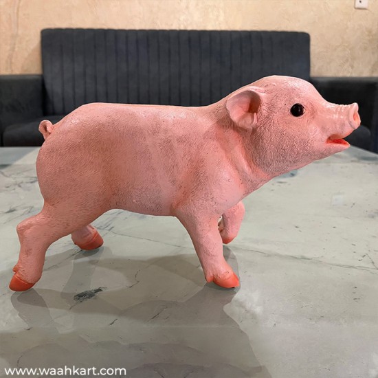 Real Pig Shaped Statue