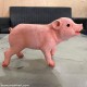 Real Pig Shaped Statue