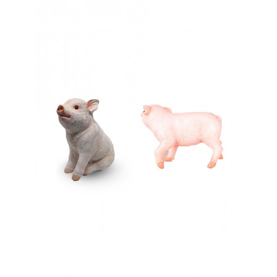Real Pig Showpiece - Combo Pack