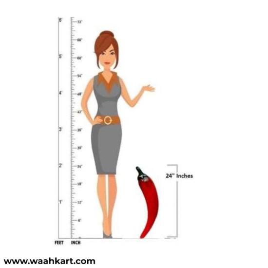 Red Chili - A Learning Model