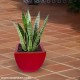 Red Square Shaped Plant Pot