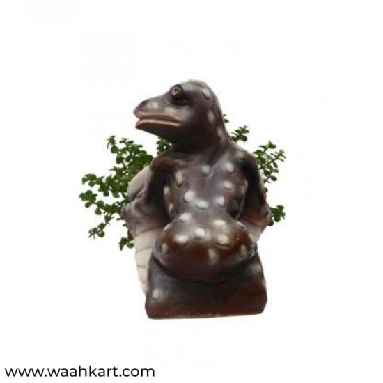 Shankh Shape Planter With Frog