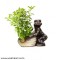 Shankh Shape Planter With Frog