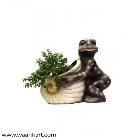 Shankh Shape Planter With Frog