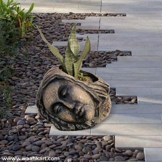 Sleeping Earthly Looking Lady Face Planter