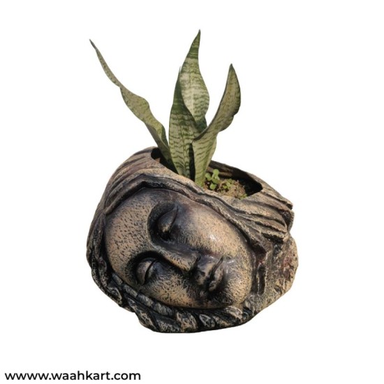 Sleeping Earthly Looking Lady Face Planter