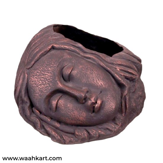 Sleeping Lady Face Planter