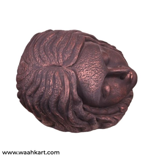 Sleeping Lady Face Planter