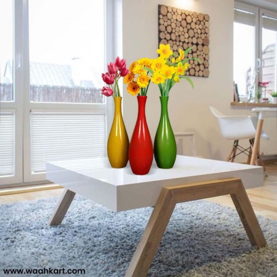 Special Combo Pack of Plain Flower Vase