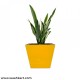 Square Shape Planter