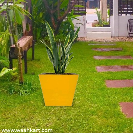 Square Shape Planter