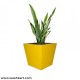 Square Shape Planter