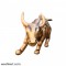 Stock Market Bull