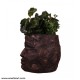 Stone Looked Face Planter