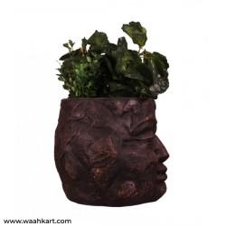 Stone Looked Face Planter