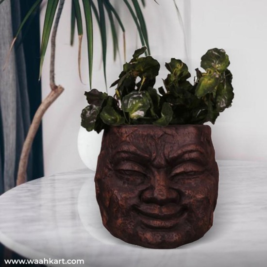 Stone Looked Face Planter