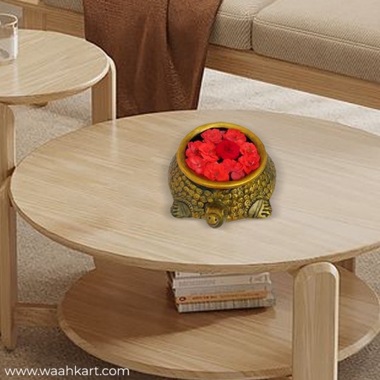 Tortoise Shaped Look Floating Pot