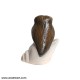 Vastu Piece Of Art - Brown Owl On Divine Shankh