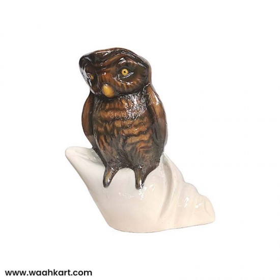 Vastu Piece Of Art - Brown Owl On Divine Shankh