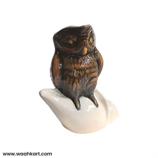 Vastu Piece Of Art - Brown Owl On Divine Shankh