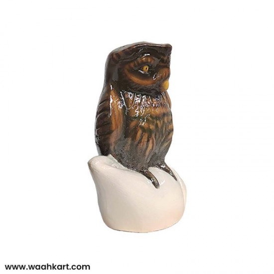 Vastu Piece Of Art - Brown Owl On Divine Shankh